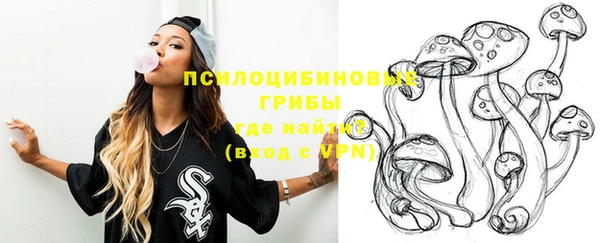 спиды Бронницы
