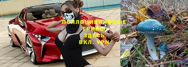 героин Бородино