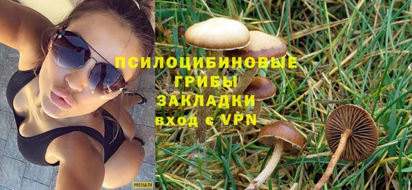 спиды Бронницы