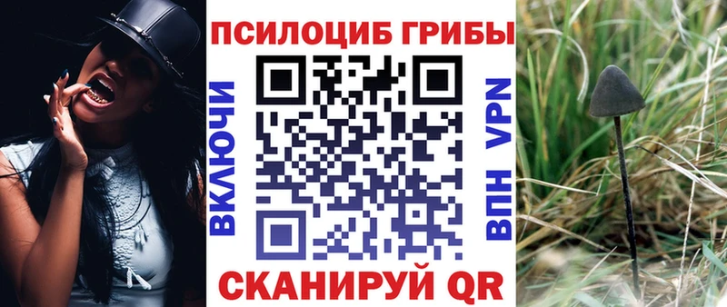 Псилоцибиновые грибы мицелий  Губкин 