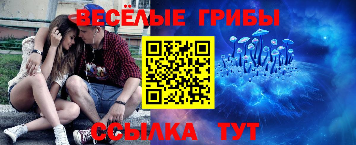 Псилоцибиновые грибы MAGIC MUSHROOMS Губкин