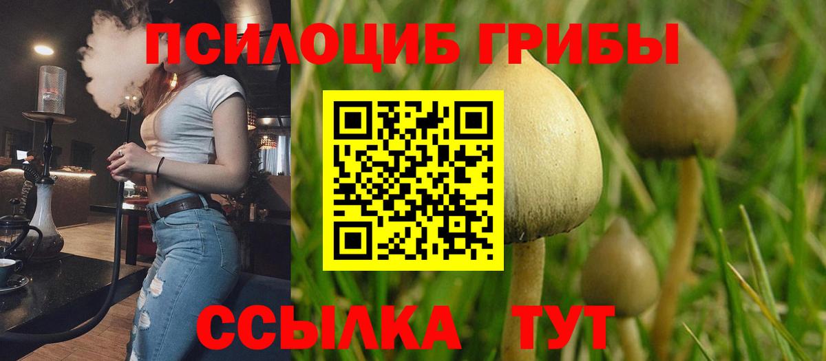 Галлюциногенные грибы мухоморы  Вход с VPN  Губкин 