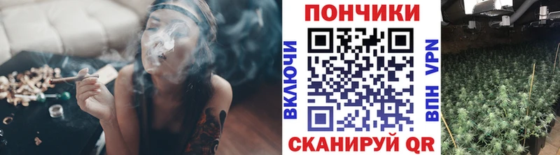 купить   Губкин  Шишки марихуана сатива 