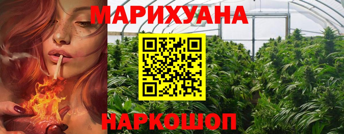 Конопля SATIVA & INDICA  Губкин  Канабис ГИДРОПОН 