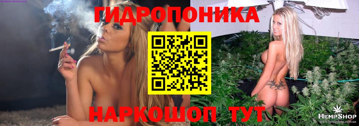 ГАШ Губкин
